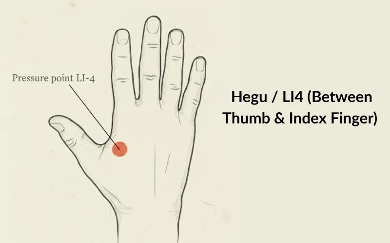 Hegu / LI4 (Between Thumb & Index Finger)