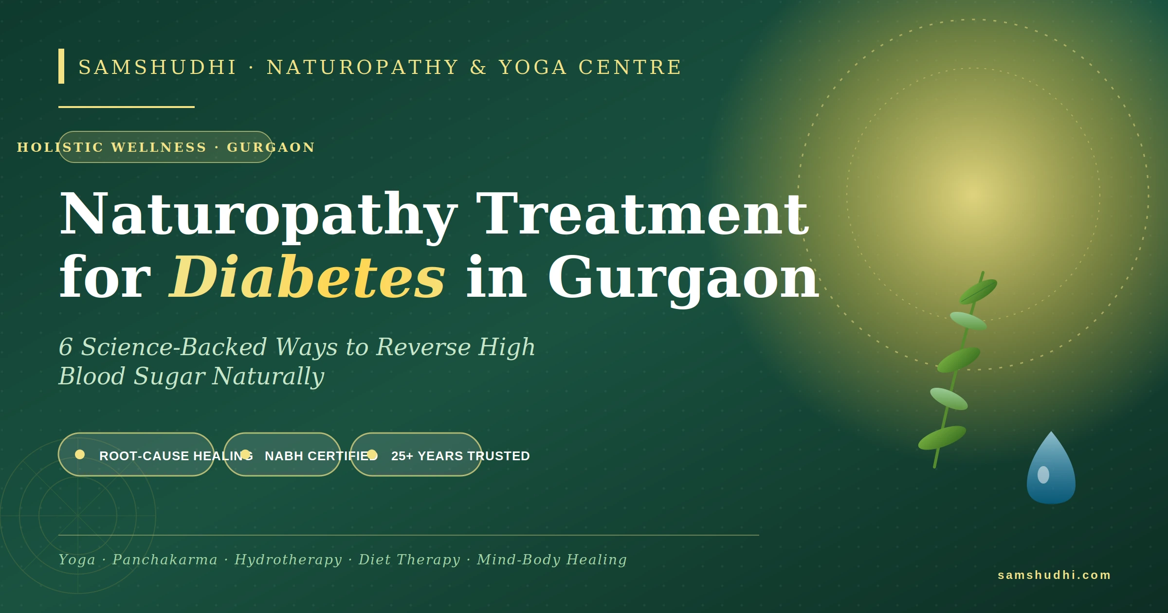 Naturopathy Treatment for Diabetes in Gurgaon at Samshudhi wellness centre